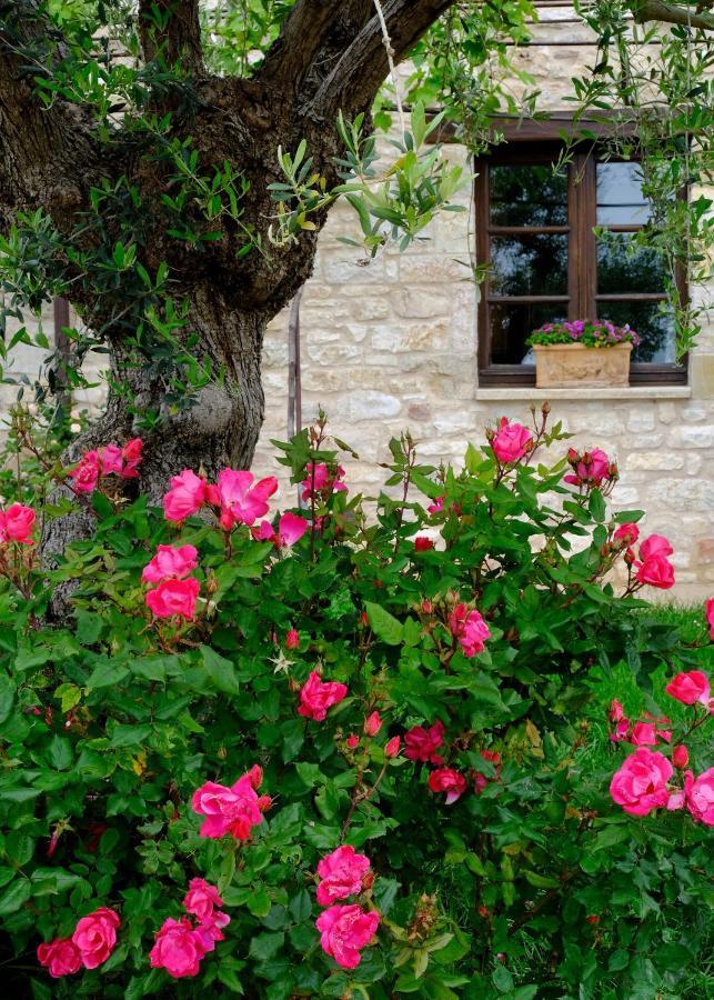 Le Mandrie Di San Paolo Villa Assisi Exterior photo